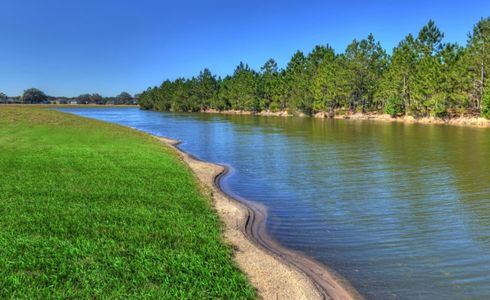 Tidewater by ICI Homes in Jacksonville - photo 16 16