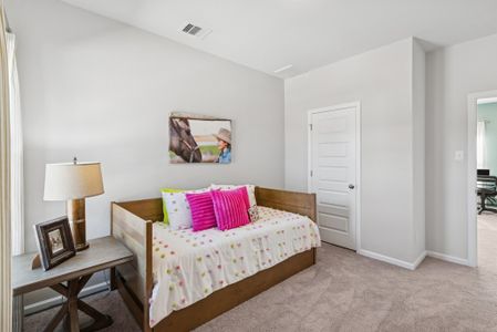 Enclave at Willis by Smith Douglas Homes in Willis - image 17