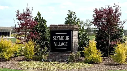 Seymour Village by D.R. Horton in Goldsboro - image