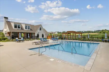 Ivey Farms - The Grove Collection by Goodall Homes in Farragut - image 4