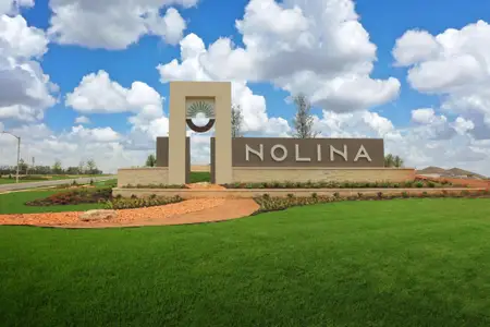 Nolina by Westin Homes in Georgetown - image