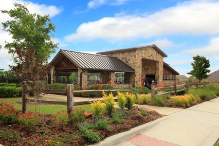 Timber Creek by Drees Custom Homes in McKinney - image