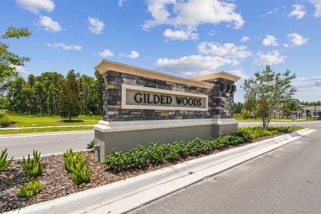 K-Bar Ranch Gilded Woods by M/I Homes in Tampa - photo 7 7