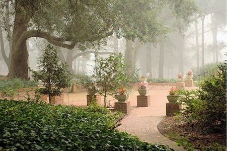 Hitchcock Preserve 43' by Veranda Homes in Aiken - image 16