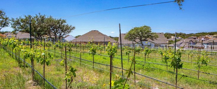 Provence by Ashton Woods in Austin - image 11