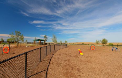 Sunfield by Pulte Homes in Buda - photo 9 9