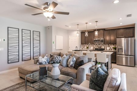 Hammock Reserve by Landsea Homes in Haines City - photo 41 41