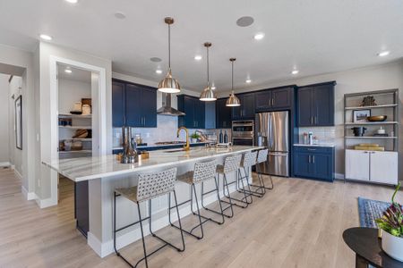 Trailstone Destination Collection by Taylor Morrison in Arvada - photo 76 76