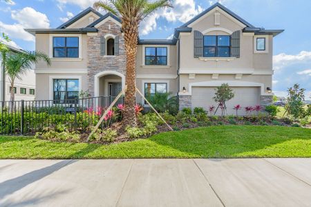 K-Bar Ranch Gilded Woods by M/I Homes in Tampa - photo 22 22