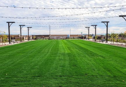 Bella Vista Farms by Starlight Homes in San Tan Valley - image 12