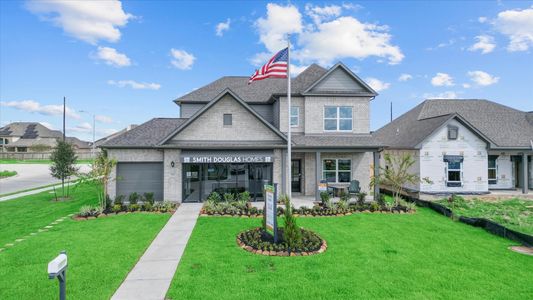 Foxtail Palms by Smith Douglas Homes in Manvel - image