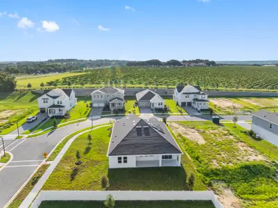 Vintner Reserve by Beazer Homes in Clermont - image 15