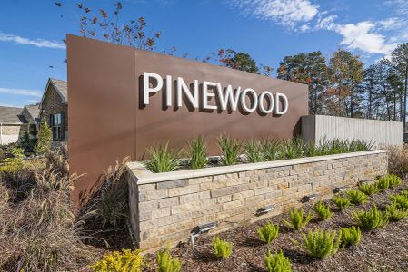 Pinewood at Grand Texas by M/I Homes in New Caney - photo 10 10