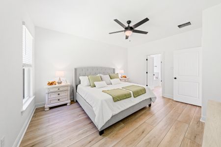Eagle Pointe by DSLD Homes in Pensacola - image 9