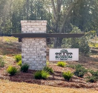 Blossom Grove by Adams Homes in Milton - image