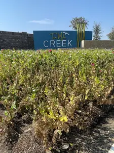 Ten Mile Creek by American Legend Homes in Celina - image 4