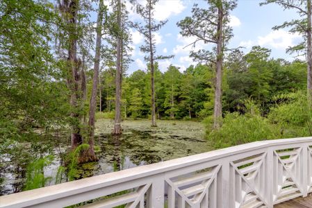 The Landings at Montague by Eastwood Homes in Goose Creek - photo 3 3