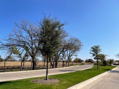 Lively Ranch - Master planned community in Georgetown, TX 6