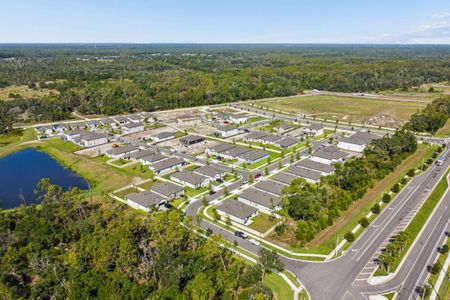 Berry Bay by M/I Homes in Wimauma - image 14
