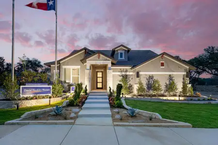 Davis Ranch 60' by David Weekley Homes in San Antonio - image