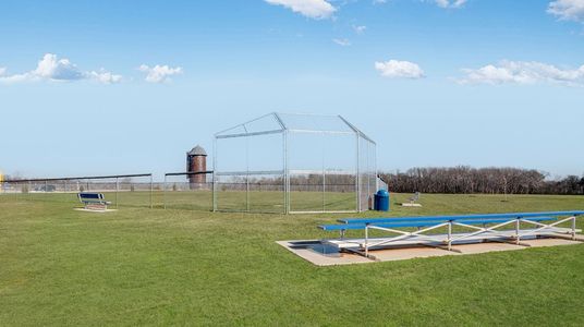 Lisenbee Fields: Cambridge 8