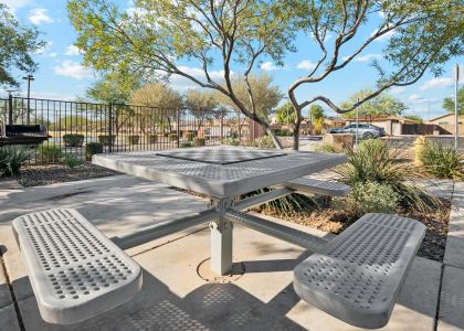 The Highlands Collection at North Copper Canyon by Century Communities in Surprise - image 13