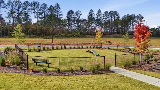 Westwind Estates by DRB Homes in Hampton - image 15