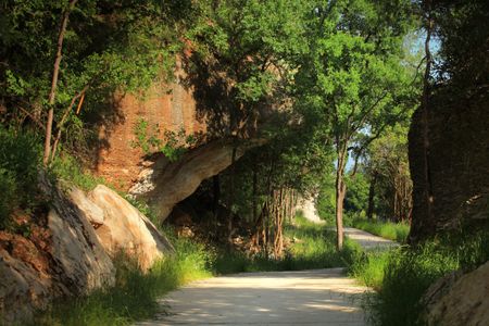 Arbor Collection At Wolf Ranch 16