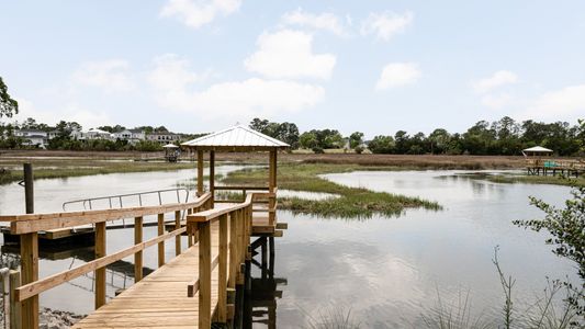 Phillips Creek by DRB Homes in Mount Pleasant - image