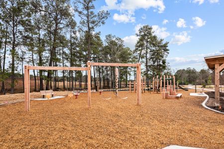 Lone Star Landing by M/I Homes in Montgomery - photo 14 14