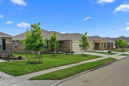 Verandah by M/I Homes in Royse City - photo 12 12