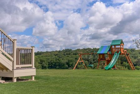 Eagles Crest by Ryan Homes in Cornelia - image