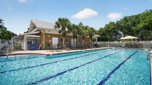 Longleaf: The Havens 2