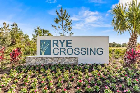 Rye Crossing by D.R. Horton in Parrish - photo 1 1