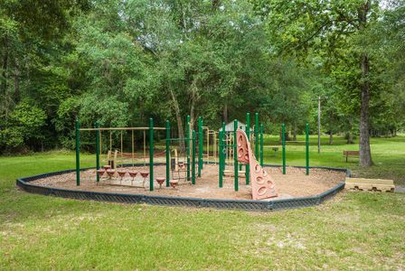 Liberty Estates by Lennar in Splendora - image