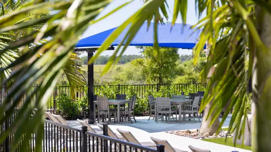 Vistera of Venice by Neal Communities in Nokomis - image 12