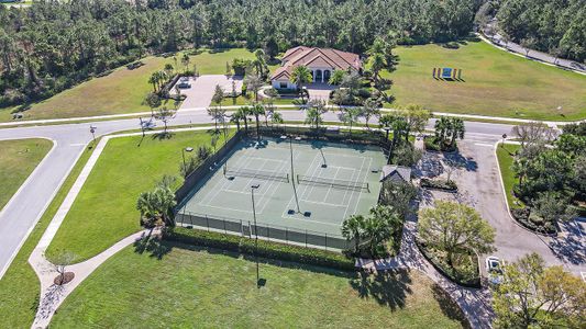 Canopy Creek by Kolter Homes in Palm City - photo 2 2