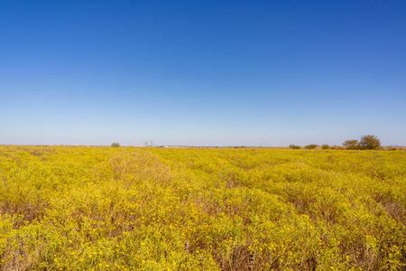 Bella Communities - Master planned community in Fort Worth, TX 4