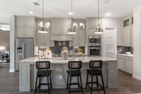 Star Trail by Coventry Homes in Prosper - photo 9 9