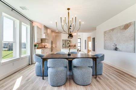 Cross Creek Meadows by Normandy Homes in Celina - photo 6 6