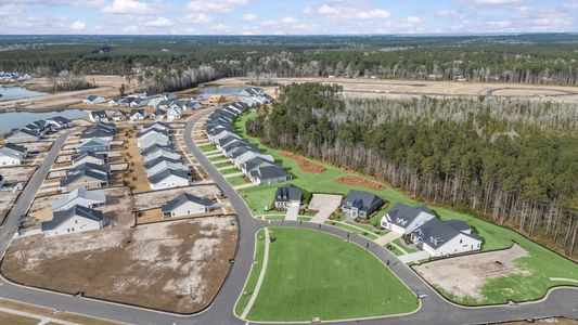 Summerwind Crossing at Lakes of Cane Bay by DRB Elevate. in Summerville - image