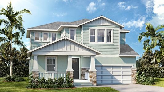 Primrose at Longleaf by DRB Homes in New Port Richey - photo