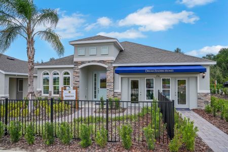 Reserve at Hammock Oaks by Dream Finders Homes in Lady Lake - image