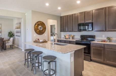 Royal Highlands by Maronda Homes in Brooksville - photo 29 29