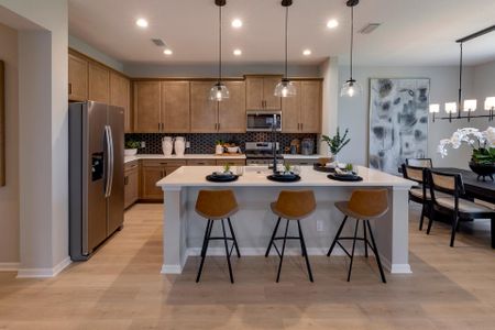 Trinity Gardens by Trinity Family Builders in Deland - photo 15 15