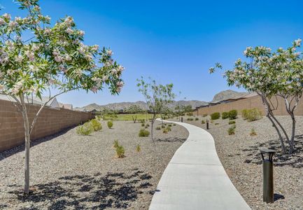 Canyon Views by Starlight Homes in Litchfield Park - photo 10 10