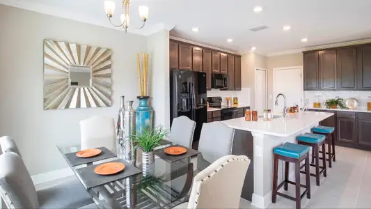 Deland by Maronda Homes in Orange City - photo 10 10