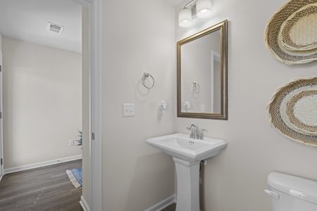 Sibley Village by McGuinn Homes in Sumter - image 7