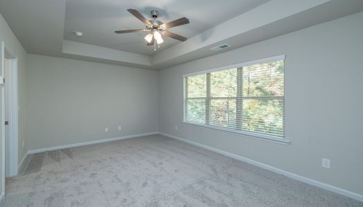 The Reserve At Clock Tower by Stephen Elliott Homes in Douglasville - photo 10 10