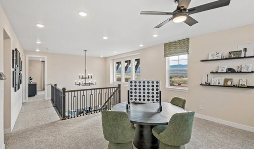 Tanterra by Richmond American Homes in Parker - image 19
